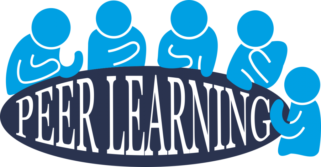 Peer Learning Any Other Business
